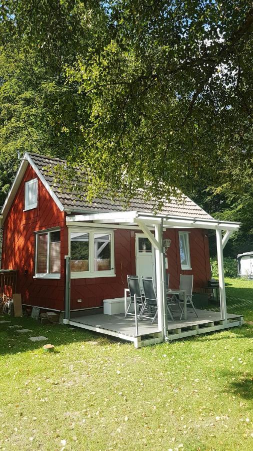 Ferienhaus direkt am Badesee Bungalow 11 Schönsee Urnshausen Exterior foto